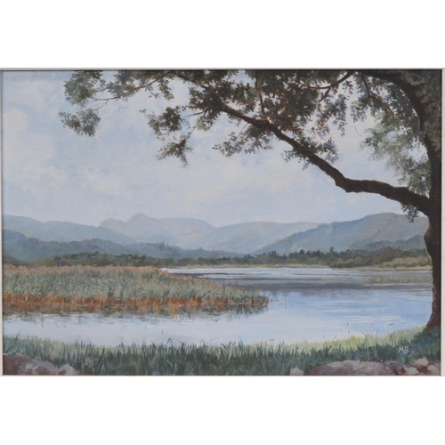 185 - Irish school 'Lake scene' oil on canvas 35x50cm, initialled 'MB'