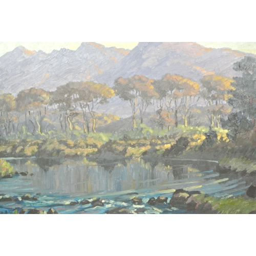 236 - Sean O'Connor 'Caragh river at Lickeen' oil on board 48 x 59cm signed