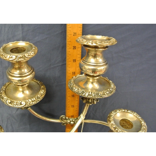 17 - Pair of Sheffield silverplated 2 branch candelabrae with shaped arms, scroll & foliate decoration, o... 