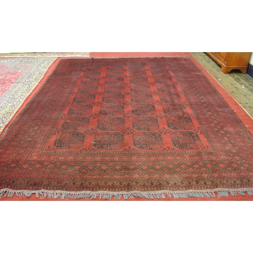 409 - Rich red ground Afghan double knot carpet with traditional Bokhara design, with elephant footprint d... 