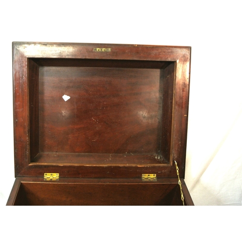 420 - Georgian mahogany cellarette or wine cooler with sarcophagus shaped top, sectioned interior, on ball... 