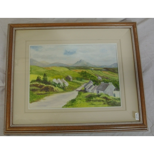 57 - Deirdre Thompson 'Country lane with cottages' oil on canvas 25x35cm signed