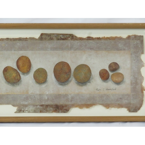 15 - Tara S Hansford 'Eggs' watercolour, 20x62cm, signed