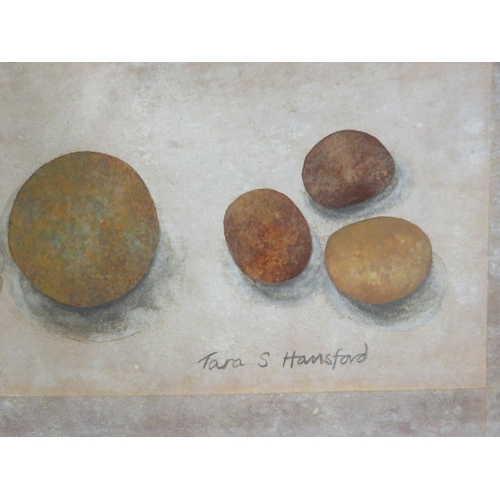 15 - Tara S Hansford 'Eggs' watercolour, 20x62cm, signed