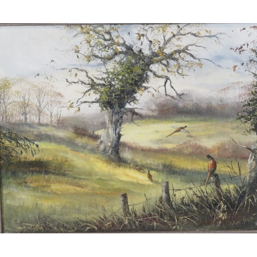 33 - Audrey Knight 'Pheasants in woodland' oil on canvas 40x50cm, signed