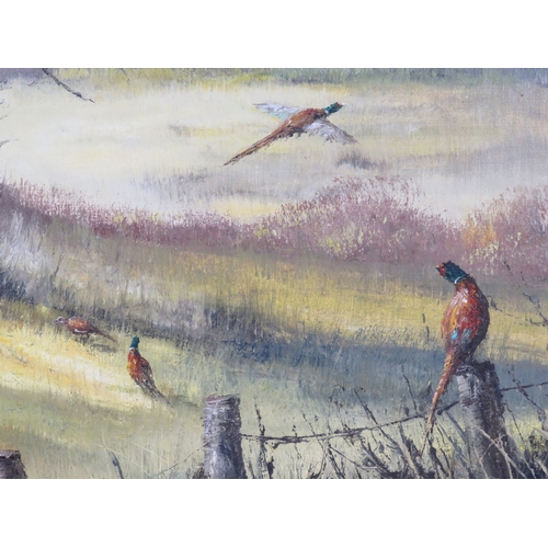 33 - Audrey Knight 'Pheasants in woodland' oil on canvas 40x50cm, signed