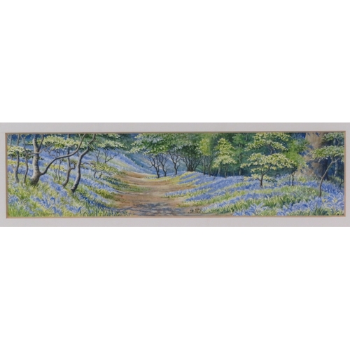 4 - Kim Seaton 'Bluebells, Dydon Wood' Pastels 16x24cm