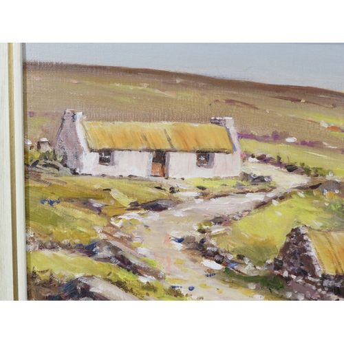 54 - Pat Cowley 'Cottages at Doochary, Co. Donegal' oil on board 40x50cm, signed