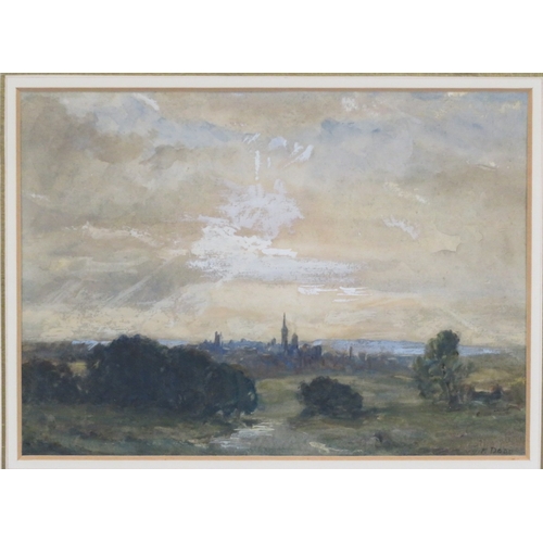 Lot 28        