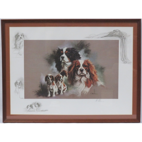 Lot 45        