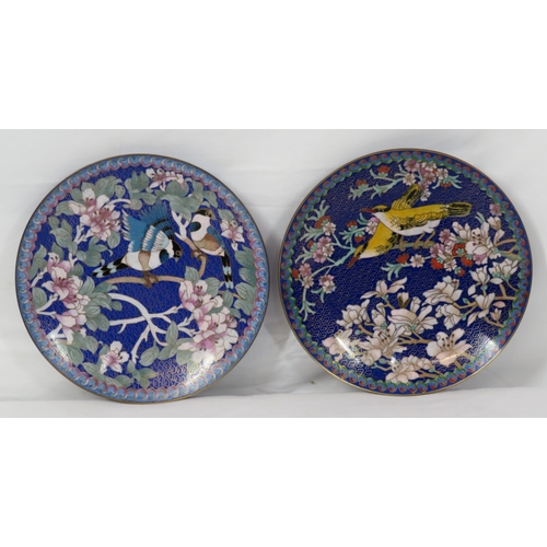 55 - Pair of Oriental Cloisonne round plates decorated with birds in presentation cases