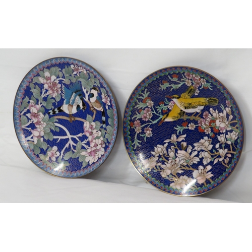 55 - Pair of Oriental Cloisonne round plates decorated with birds in presentation cases