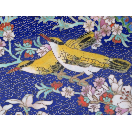 55 - Pair of Oriental Cloisonne round plates decorated with birds in presentation cases