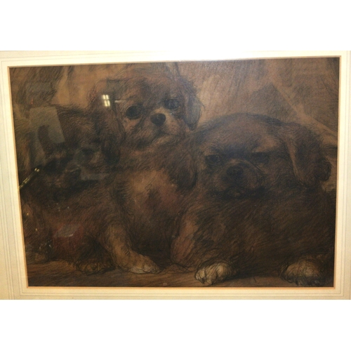 Lot 17        