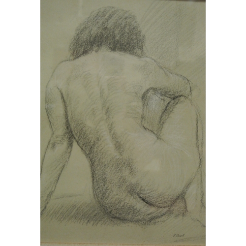 Lot 23        