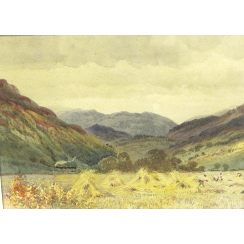 Lot 26        