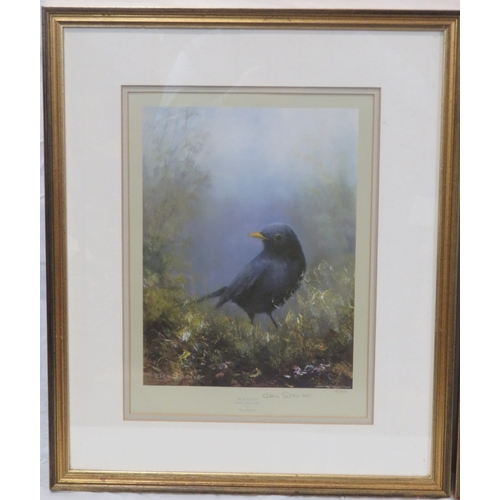 10 - Clem Spencer 'Robin' & 'Blackbird' pair of prints, 30x22cm each