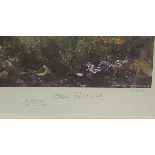 10 - Clem Spencer 'Robin' & 'Blackbird' pair of prints, 30x22cm each