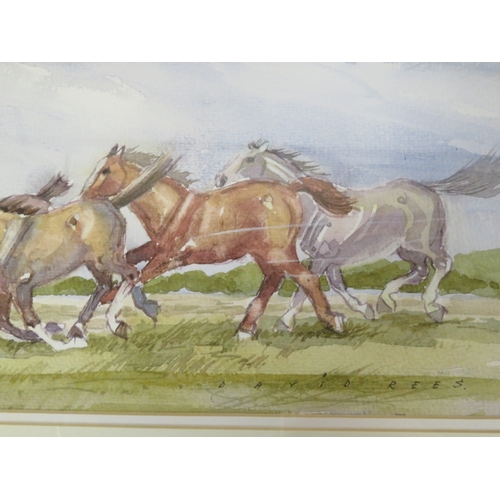 11 - Various pictures and testers, coat of arms, etc