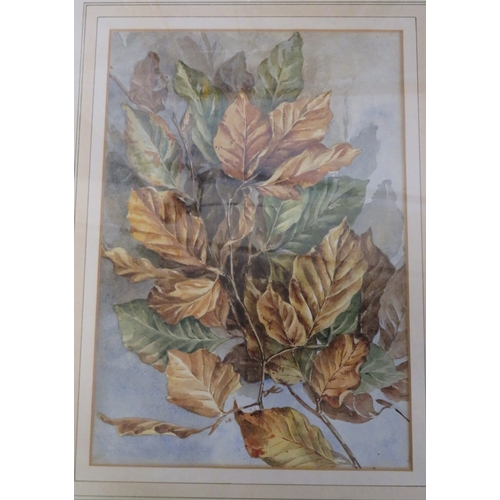 3 - Various pictures, prints, etc