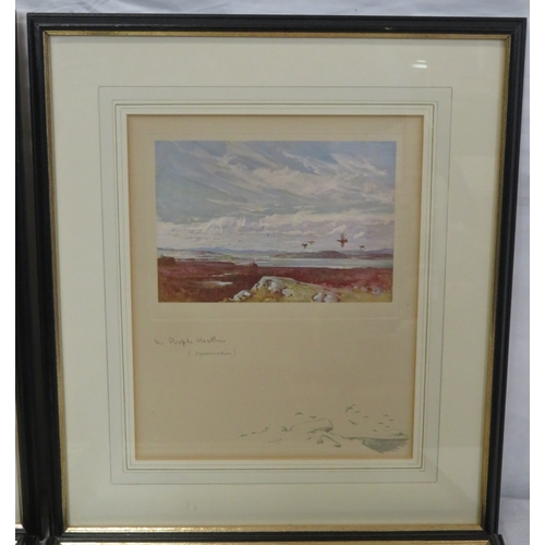 4 - Lionel Edwards 'Mid-day Rest', 'Spying', Purple heather' & 'Grouse over dogs' 4 prints, 13x17cm/ 26x... 