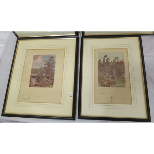 5 - Lionel Edwards 'Wet Day', 'Highland foxhunter', 'The other boat' & 'Roe deer' 4 prints, 13x17/26x21c... 