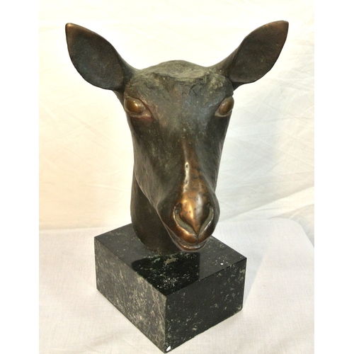 Lot 54        