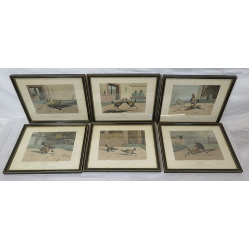 Lot 6         