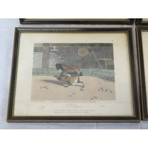 6 - Newton Fielding (1799-1856) 'Cock fighting', A suite of six plates of cock fighting, etching and aqu... 