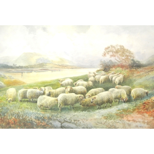 Lot 53        
