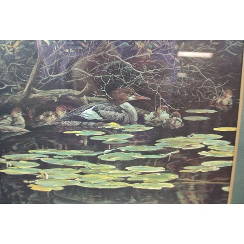 31 - Robert Bateman 'Ducks in a pond' print, 23x29cm, signed