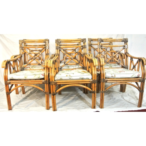 298 - Set of 6 bamboo conservatory open armchairs with foliate cushions