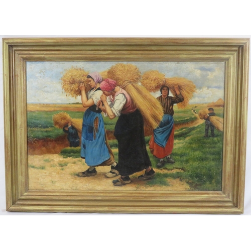 Lot 7         