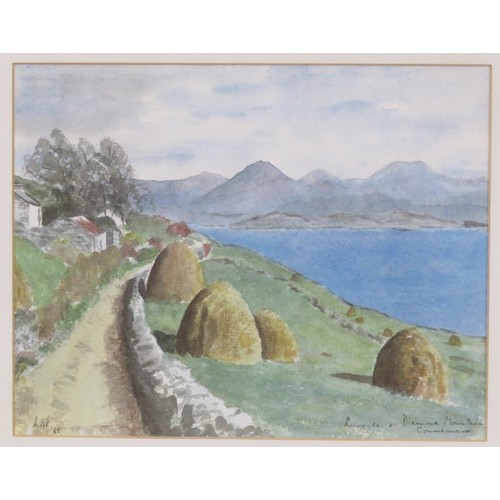 Lot 37        