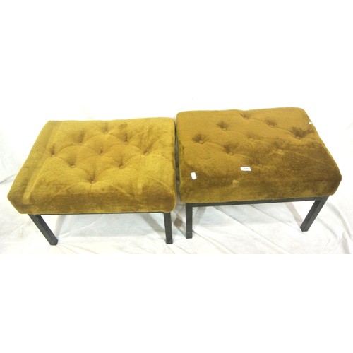 Lot 504       
