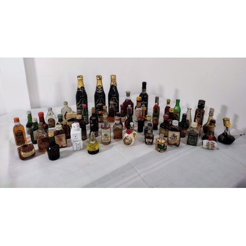 Lot 18        