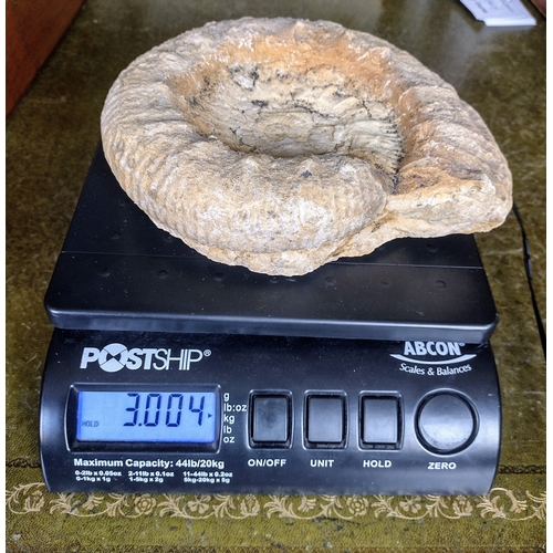 147 - Large Fossilized Ammonite Specimen Weighing 3 kg, Featuring Spiral Shell Formation and Weathered Sur... 