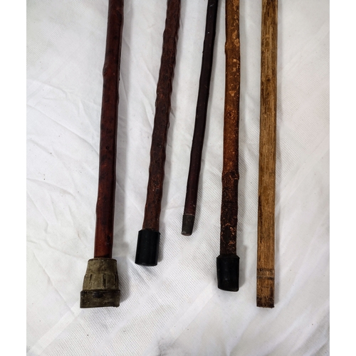 77 - Collection of Antique Walking Sticks approx 34