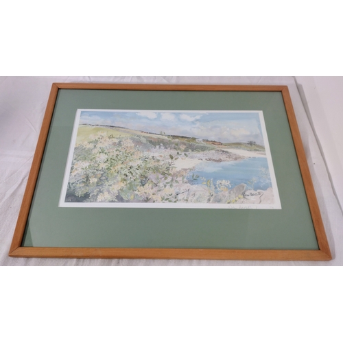 262 - Framed and Glazed Limited Edition Print by Nan Heath, Isles of Scilly, Signed and Numbered 14/100 Ci... 