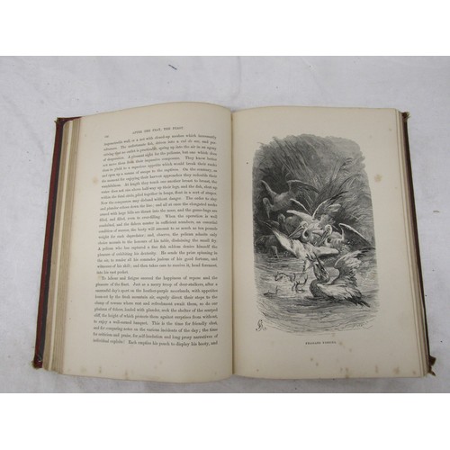 67 - Hardback Book - The Bird World by W. H. Davenport Adams Published 1878