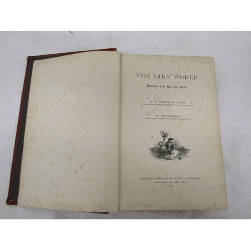 67 - Hardback Book - The Bird World by W. H. Davenport Adams Published 1878