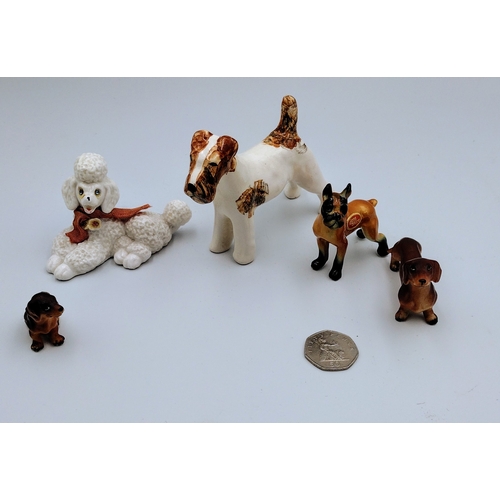 334 - Small Selection of Ceramic Dogs