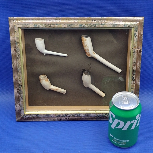 236 - Framed and Glazed Diorama of 19th Century Clay Tobacco Pipe Fragments. Approx 30cm x 25cm