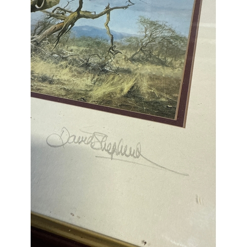 47 - David Shepherd (1931-2017), 'Lonely Old Bull Elephant', a Limited Edition Colour Print