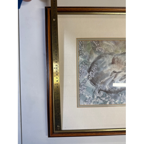 51 - Framed Artwork of a Curled Cat, Signed 'Hap K.'