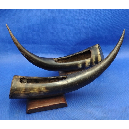 Pair Of Vintage Polished Horn Decorative Vases On Wooden Plinth Bases, Circa 1960s–1970s