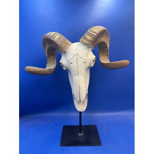Lot 48        