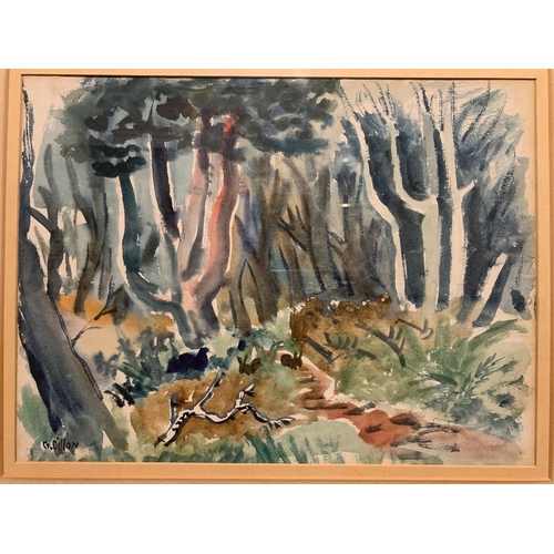 193 - GERARD DILLON R.H.A., R.U.A., 1916 - 1971, NATURALISTIC SETTING WATERCOLOUR
Signed lower left.
(sigh... 