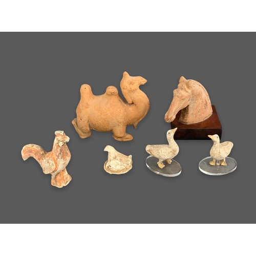 291 - A GROUP OF  POTTERY BEASTS AND BIRDS, TANG DYNASTY, (AD 618 - 907)
Comprising a camel, a horse's hea... 