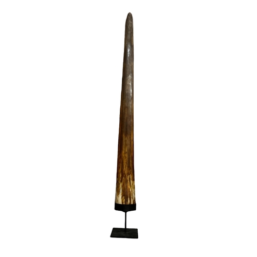 153 - A LARGE UPRIGHT SWORDFISH BILL
Displayed on a later metal base. 
(Overall height 77.5cm Bill Height ... 